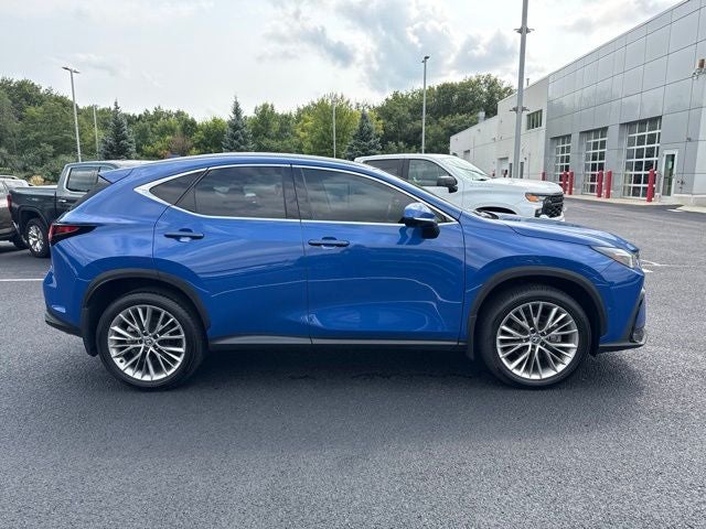 2025 Lexus NX 350 Luxury