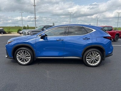 2025 Lexus NX 350 Luxury