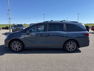2025 Honda Odyssey Touring