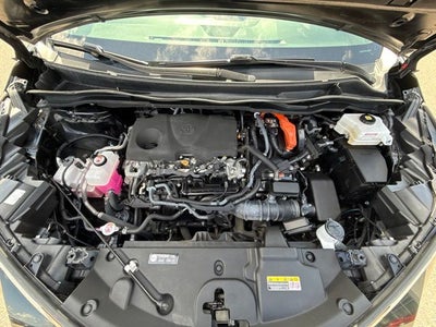 2023 Toyota Sienna XLE 7 Passenger