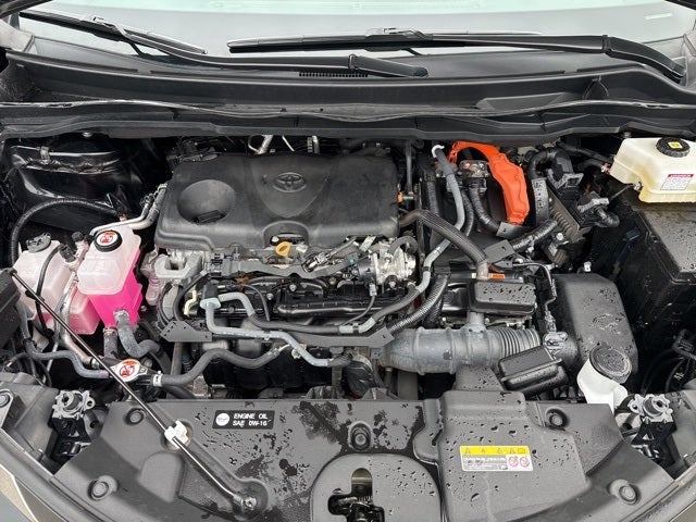 Certified 2024 Toyota Sienna XLE with VIN 5TDYSKFC8RS117670 for sale in Mankato, Minnesota