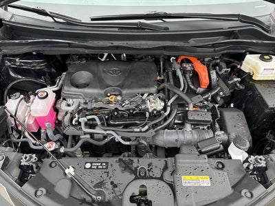 2024 Toyota Sienna XLE 7 Passenger