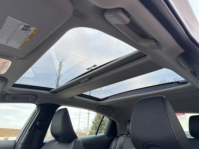 2025 Toyota Prius XLE