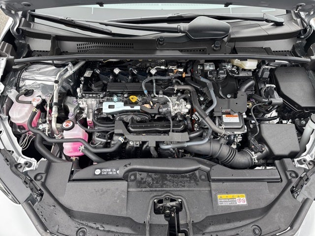 2025 Toyota Prius XLE