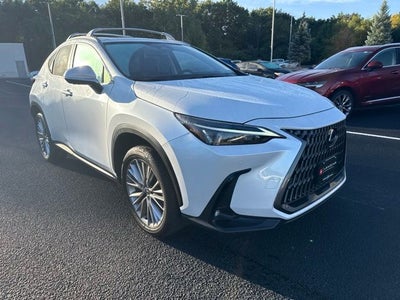 2025 Lexus NX 350h Premium