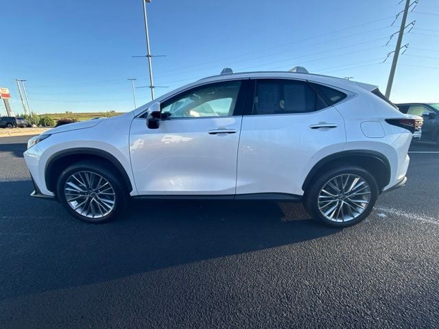2025 Lexus NX 350h Premium