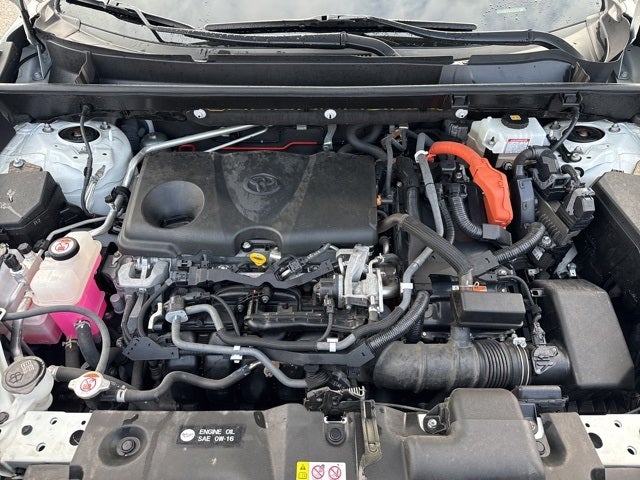 Used 2019 Toyota RAV4 XSE with VIN JTMEWRFV7KD506769 for sale in Mankato, Minnesota