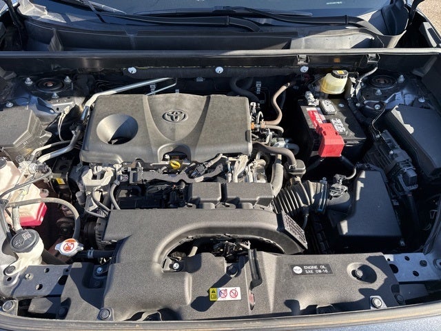 Certified 2019 Toyota RAV4 XLE with VIN JTMP1RFVXKD515988 for sale in Mankato, Minnesota