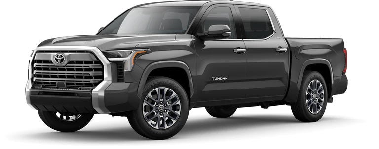 2022 Toyota Tundra Limited in Magnetic Gray Metallic | LeadCar Toyota Mankato in MANKATO MN